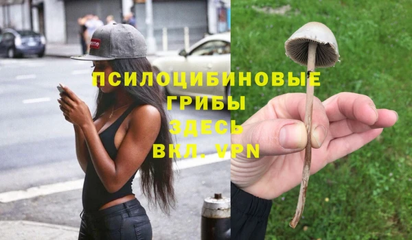 трава Заволжье